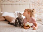 Паразити у кота: небезпека для дитини