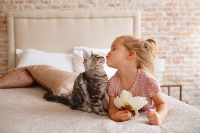 Little-girl-relaxing-on-the-bed-with-her-kitten_PhotoSunnyDays-Shutterstock